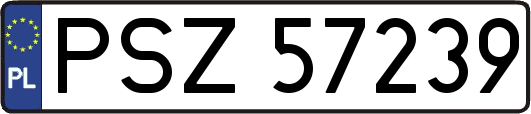 PSZ57239