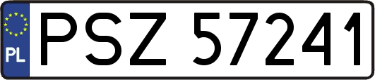 PSZ57241