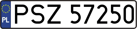 PSZ57250