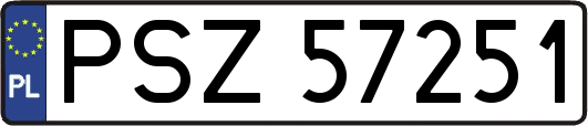 PSZ57251