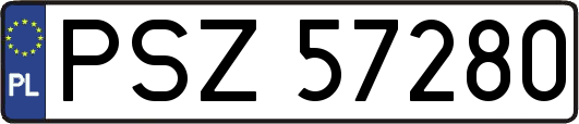 PSZ57280