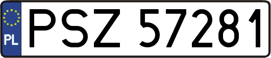 PSZ57281