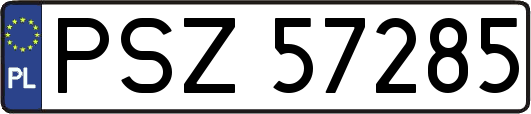 PSZ57285