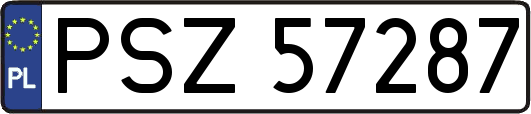PSZ57287
