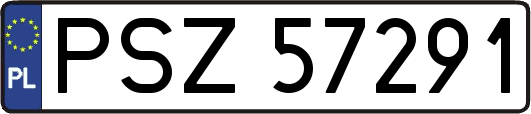 PSZ57291