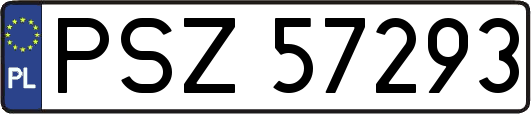 PSZ57293