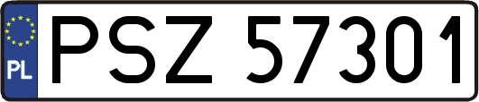 PSZ57301