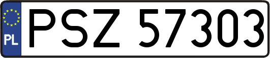 PSZ57303