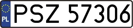 PSZ57306