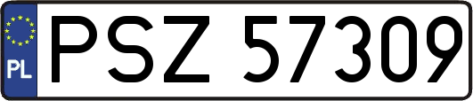 PSZ57309