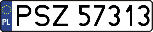 PSZ57313