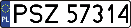 PSZ57314