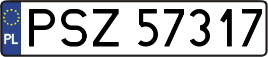 PSZ57317