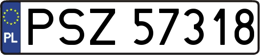 PSZ57318