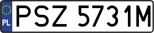 PSZ5731M