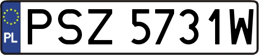 PSZ5731W