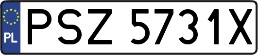 PSZ5731X