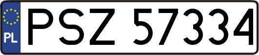 PSZ57334