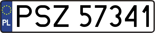 PSZ57341