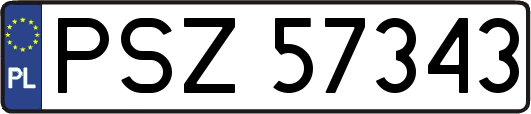 PSZ57343