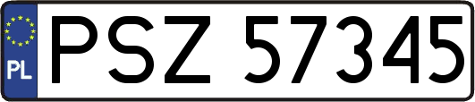 PSZ57345