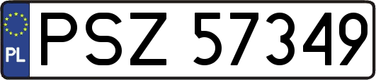 PSZ57349