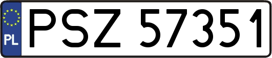 PSZ57351