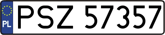 PSZ57357