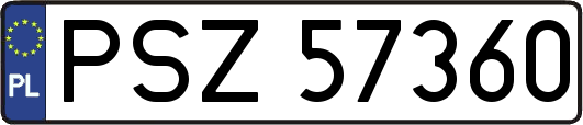 PSZ57360