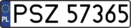 PSZ57365