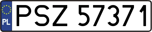 PSZ57371