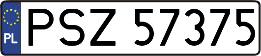 PSZ57375