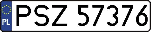 PSZ57376