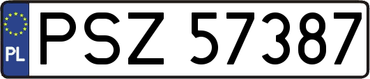 PSZ57387