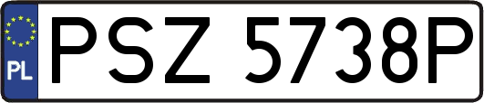 PSZ5738P