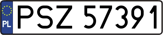 PSZ57391