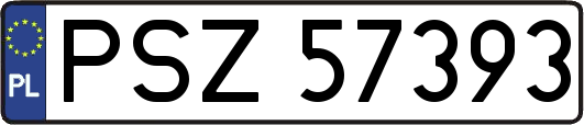PSZ57393