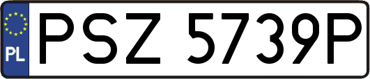 PSZ5739P