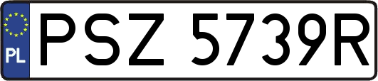 PSZ5739R