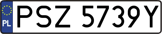 PSZ5739Y