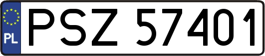 PSZ57401