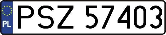 PSZ57403