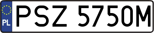 PSZ5750M