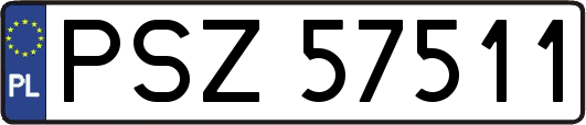 PSZ57511