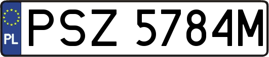 PSZ5784M