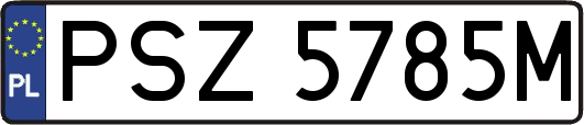 PSZ5785M