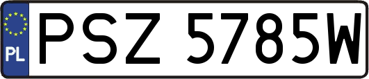 PSZ5785W
