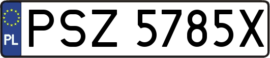 PSZ5785X