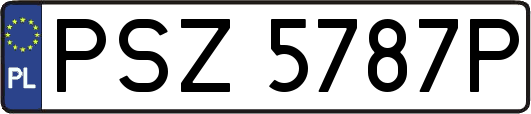 PSZ5787P