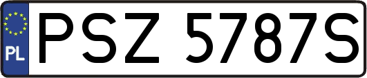 PSZ5787S